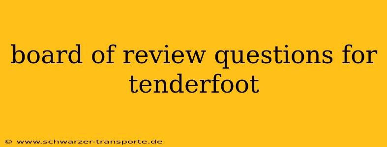 board of review questions for tenderfoot