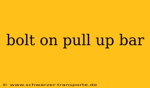 bolt on pull up bar