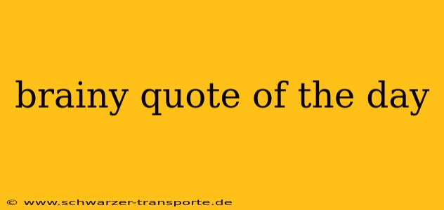 brainy quote of the day