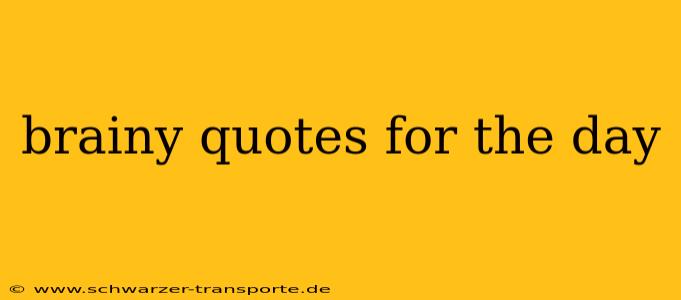 brainy quotes for the day