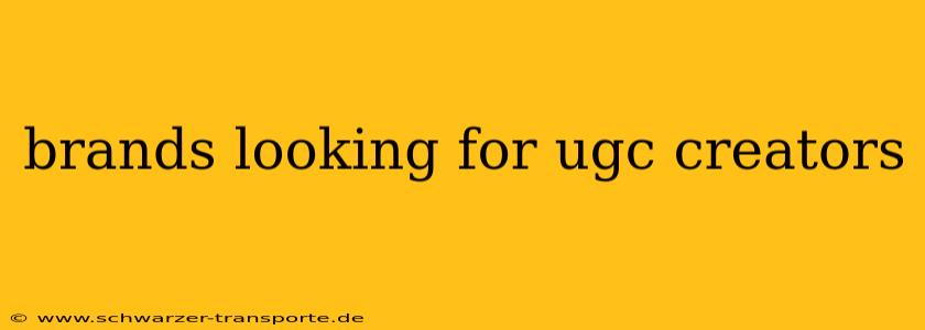 brands looking for ugc creators