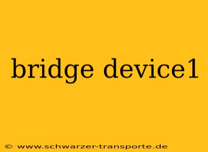 bridge device1