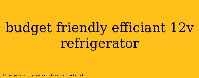 budget friendly efficiant 12v refrigerator