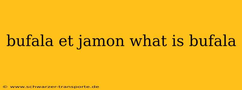 bufala et jamon what is bufala