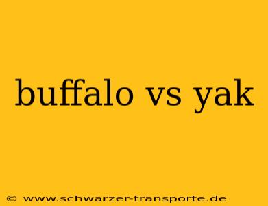 buffalo vs yak