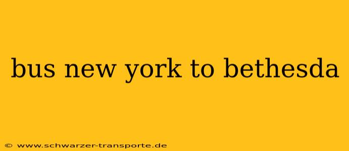bus new york to bethesda