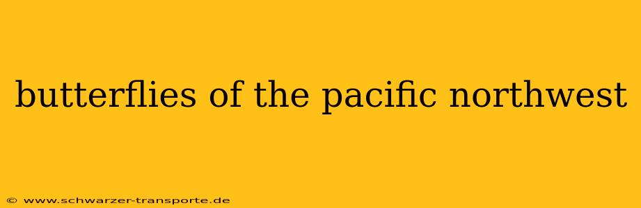 butterflies of the pacific northwest