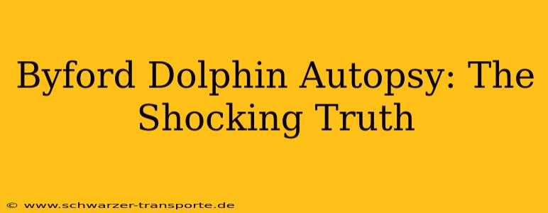 Byford Dolphin Autopsy: The Shocking Truth