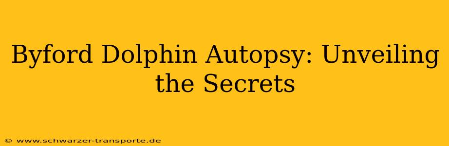 Byford Dolphin Autopsy: Unveiling the Secrets