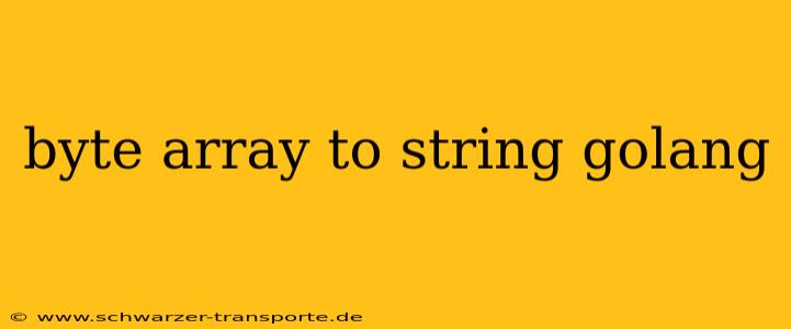 byte array to string golang