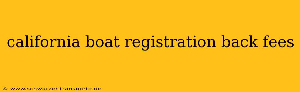 california boat registration back fees