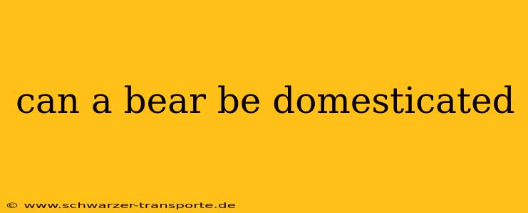 can a bear be domesticated