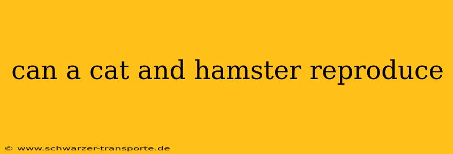 can a cat and hamster reproduce