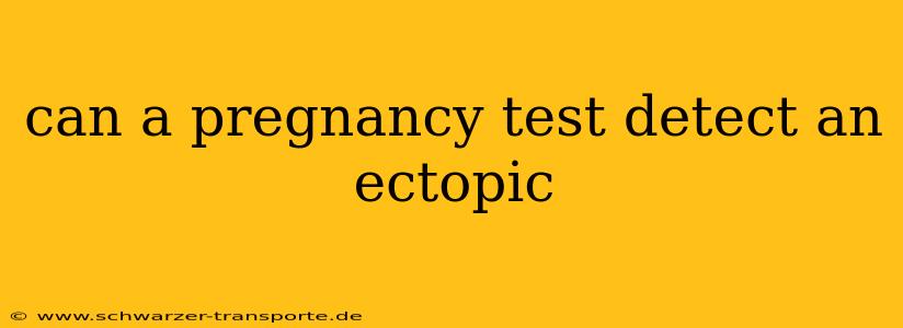 can a pregnancy test detect an ectopic