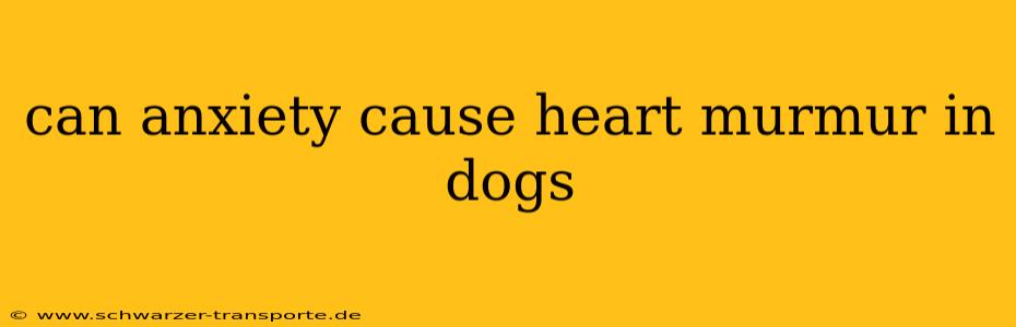 can anxiety cause heart murmur in dogs
