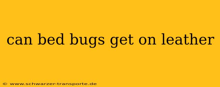 can bed bugs get on leather