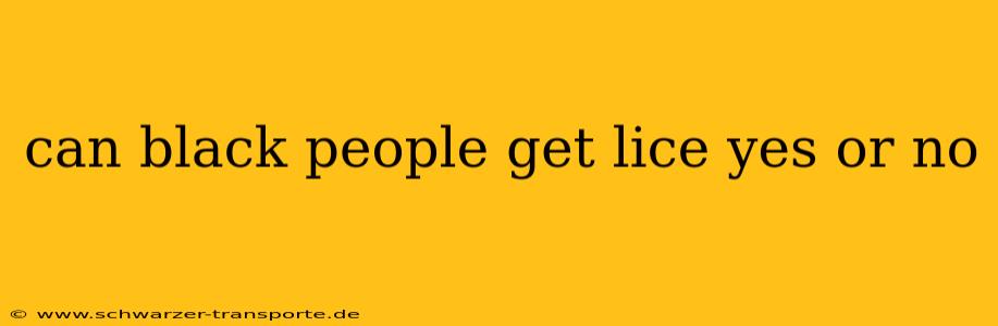 can black people get lice yes or no