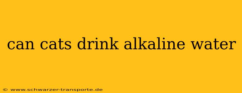 can cats drink alkaline water