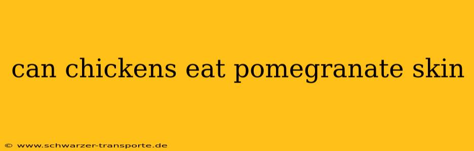 can chickens eat pomegranate skin
