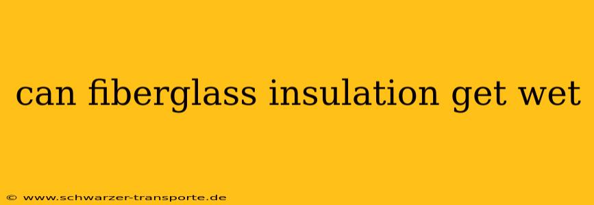 can fiberglass insulation get wet