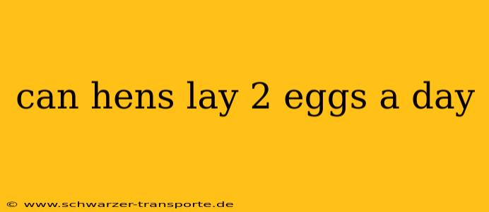 can hens lay 2 eggs a day