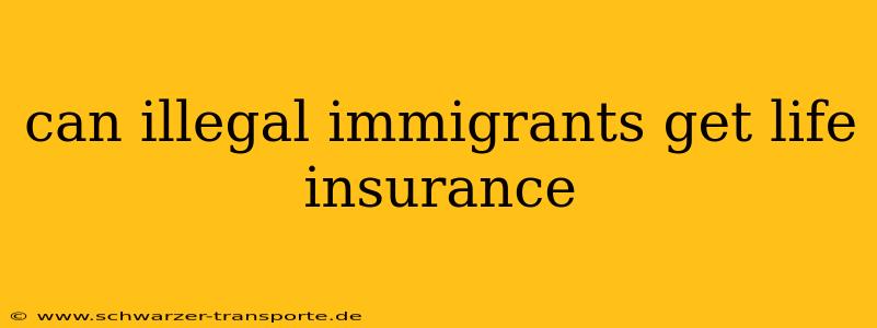 can illegal immigrants get life insurance