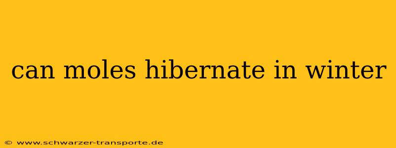can moles hibernate in winter