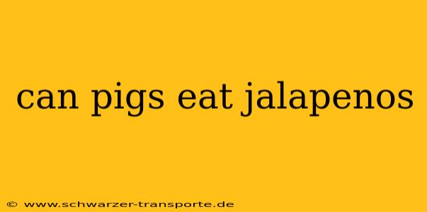 can pigs eat jalapenos