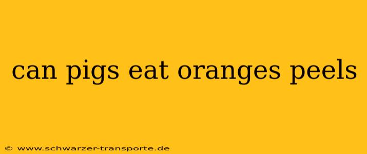 can pigs eat oranges peels