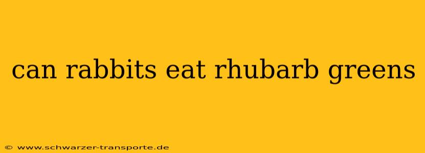can rabbits eat rhubarb greens