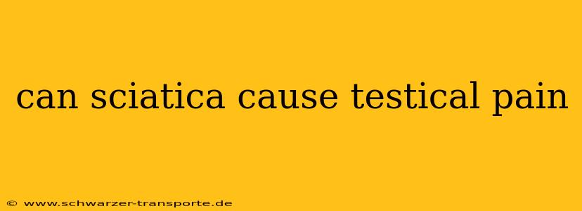 can sciatica cause testical pain