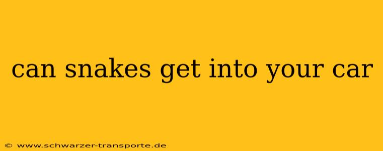 can snakes get into your car