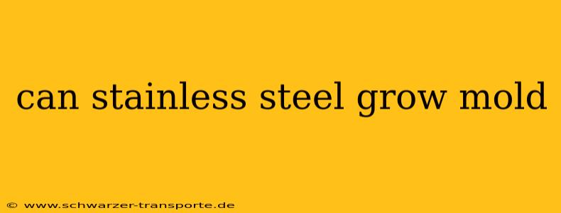 can stainless steel grow mold