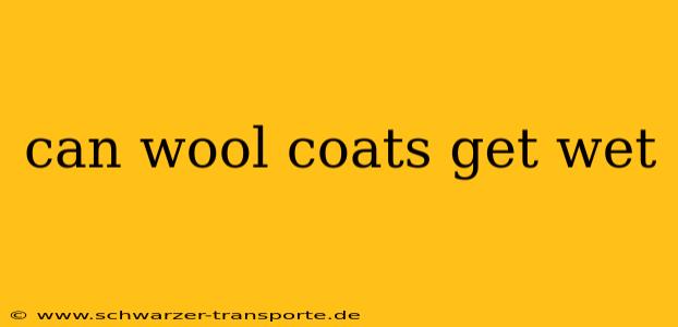 can wool coats get wet
