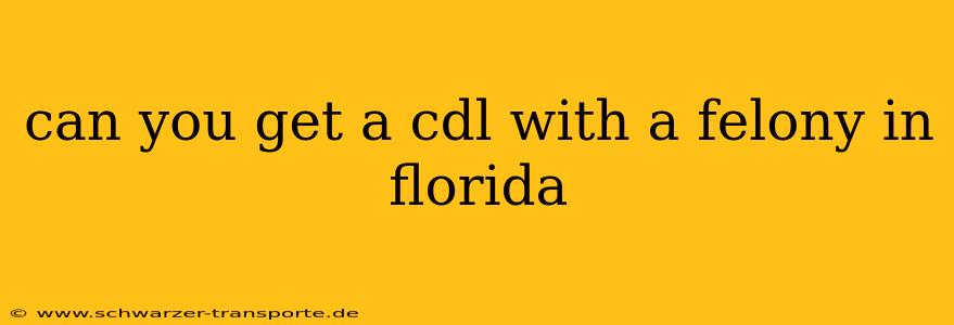 can you get a cdl with a felony in florida