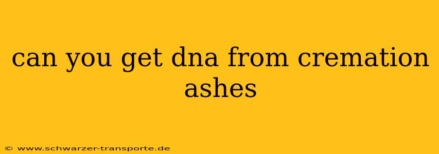 can you get dna from cremation ashes