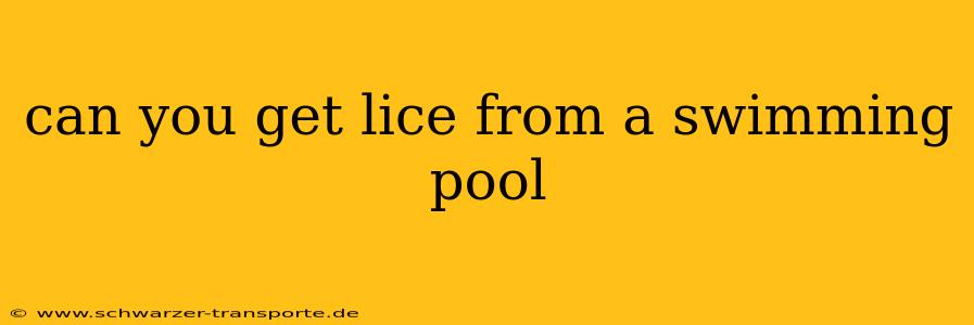can you get lice from a swimming pool
