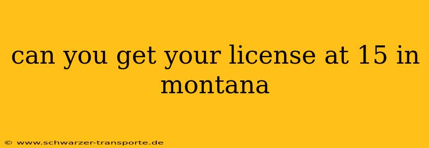 can you get your license at 15 in montana
