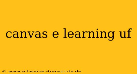 canvas e learning uf