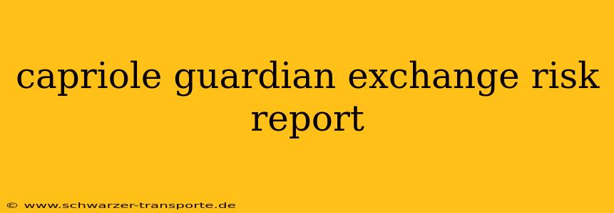 capriole guardian exchange risk report