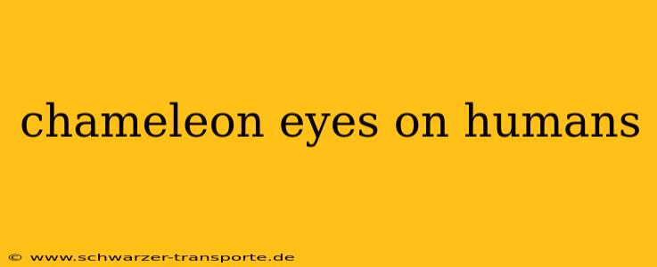 chameleon eyes on humans