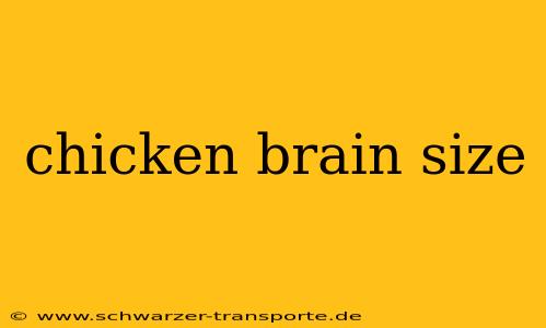 chicken brain size