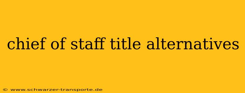 chief of staff title alternatives