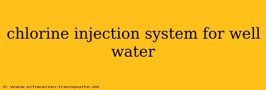 chlorine injection system for well water