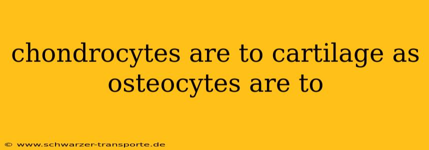 chondrocytes are to cartilage as osteocytes are to