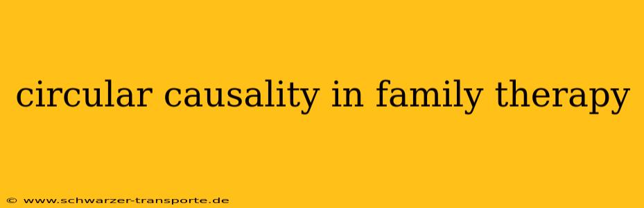 circular causality in family therapy