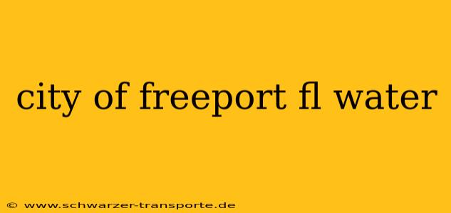 city of freeport fl water