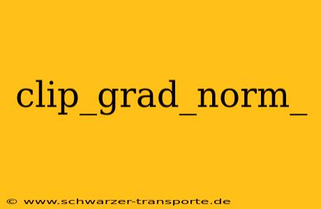 clip_grad_norm_