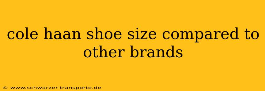 cole haan shoe size compared to other brands
