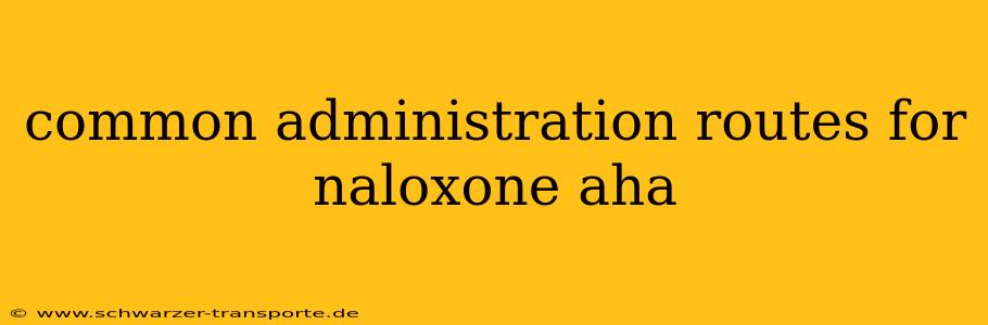 common administration routes for naloxone aha